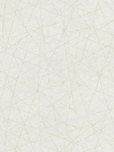 Linear Web - Geometric Wallpaper - White