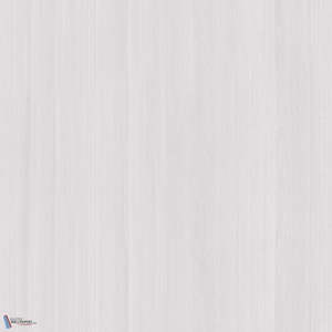 Textured Wallpapers: Paulownia - Wood Veneer Wallpaper - White