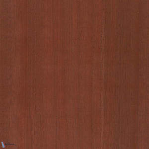 Paulownia - Wood Veneer Wallpaper - Bombay Brown