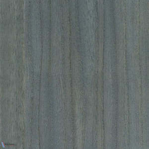 Paulownia - Wood Veneer Wallpaper - Balsam Grey