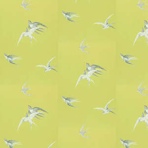 Swallows Wallpaper - Lime