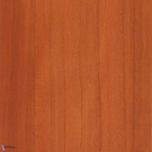Paulownia - Wood Veneer Wallpaper - Raw Sienna