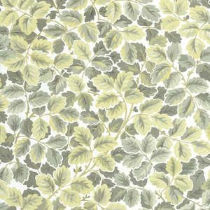 Modern: Regent's Park Wallpaper - Amande