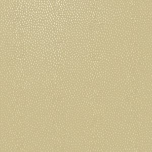 Patagonia: Sample - Pinto Spots Wallpaper - Ochre- Discontinuing