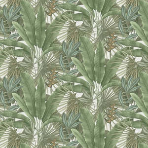 Tropical Wallpaper: Exotic Jungle Wallpaper - Green