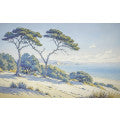 Tree Wallpaper: Sandy Coast - Custom Sized Wallpaper Mural (per m2)