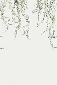 Aralia - Sandberg - Custom Sized Wallpaper Mural (per m2) -Moss Green