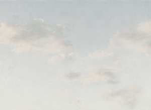 Murals 1: Moln WALL - Sandberg - Custom Sized Wallpaper Mural (per m2) - Light Blue