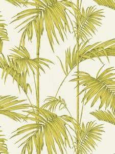 Clearance: Shadows of Palm Wallpaper - Green