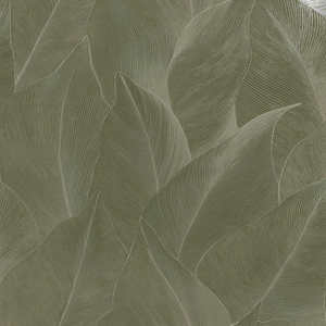 Holden Decor: Anthurium Wallpaper - Green