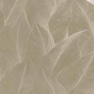 Anthurium Wallpaper - Beige