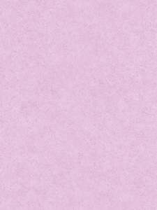 Clearance: Soft Plain Plaster Wallpaper - Pink
