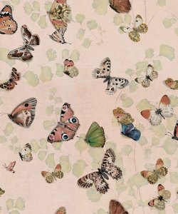 Magic Butterflies Wallpaper - Sweet Pink