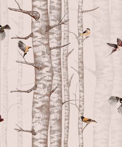 Birch Trees Wallpaper - Faint Pink