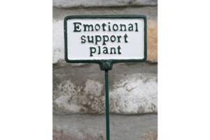 Outdoor: Plant Sign- Emotional Support Plant