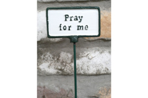 Plant Signs- Pray For Me