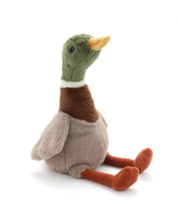 Hugo the Mallard Duck