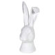 White Ear Flop Rabbit Head Ornament