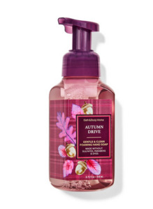 Autumn Drive Gentle & Clean Foaming Hand Soap