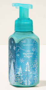 Soap: Frosted Forest Gentle & Clean Foaming Hand Soap