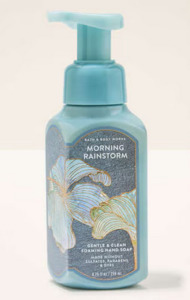 Morning Rainstorm Gentle & Clean Foaming Hand Soap
