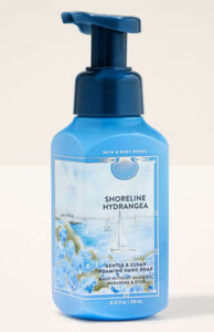 Shoreline Hydrangea Gentle & Clean Foaming Hand Soap