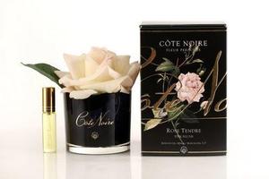 Cote Noire Rose in Black Glass - Blush The Joneses Home Staging