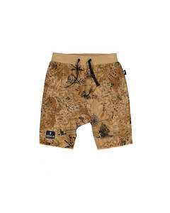 Radicool Dude: RADICOOL - PIRATE MAP SHORT