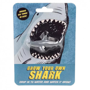 REX LONDON - GROW YOUR OWN SHARK