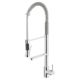 Buddy Dual Spout Flexi Kitchen Mixer | Chrome