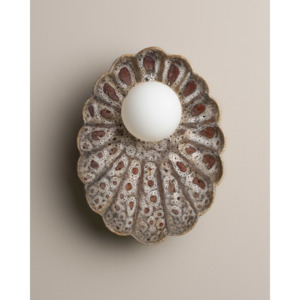 Robert Gordon Oyster Wall Sconce Light | White Ochre