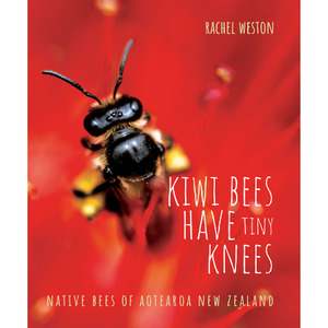Products: Kiwi Bees have Tiny Knees - The Kiwi Kids' Bookstore