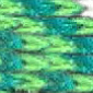 Tāniko Scarf