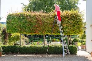 HMT360.3: New Fully Adjustable Tripod Ladder 12ft / 3.6m