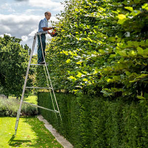 Hi Step Ladders: Hi-Step Major