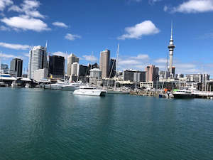 Main Tours 1: Auckland City Tour