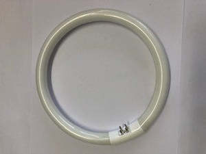 Fluorescent Lamps: Fluorescent Circline t5 tube 22 watt 4000k Gq10 base