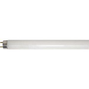 Fluorescent Tube T5 21watt  Cool White