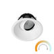 Zela Deep Tilt Clear Lens Tunable LED Downlight - Casambi The Lighting Centre NZ