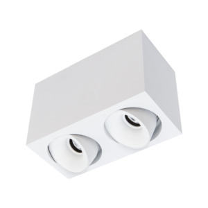 Surface Mounted LED Downlights: Dark Art Square Twin Surface Mount Downlight The Lighting Centre NZ