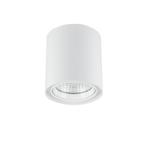Delta Round 118mm Surface Mount Downlight The Lighting Centre NZ