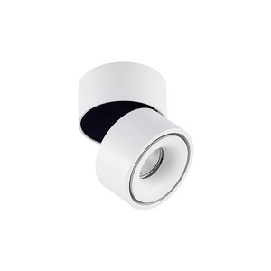 Pheeb 100mm Adjustable Surface Mount Downlight The Lighting Centre NZ