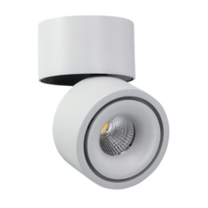 Pheeb 75mm Adjustable Surface Mount Downlight The Lighting Centre NZ