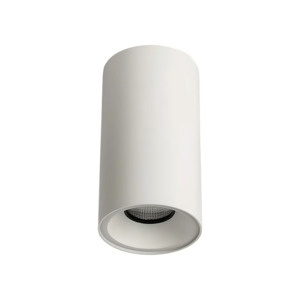 Zela Fixed Clear Lens Surface Mount Downlight The Lighting Centre NZ