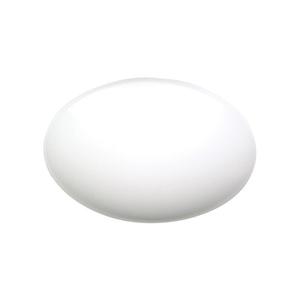 Sensors: PROTO LED 12w SENSOR CEILING LIGHT