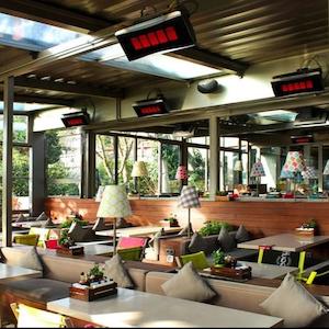 Led Smart Lighting: Platinum 500 Smart-Heat Gas Heater in LPG or Natural Gas