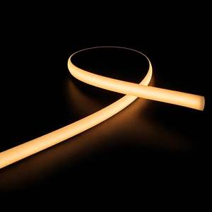 Lighting: 12w Corner Neon LED Strip Light 24v DC 3k or 4k IP67 CRI 90