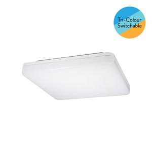 Eurotech: CLEARANCE LED YYS 15w CCT Ceiling Button in White Eurotech - YYS15WCCT