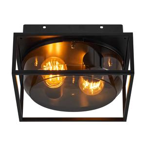 Outdoor Ceiling Lights: Griffin Ceiling Light 2Lt Black / Smoked