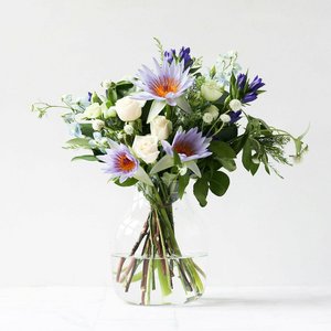 Products: Cool as a Cucumber